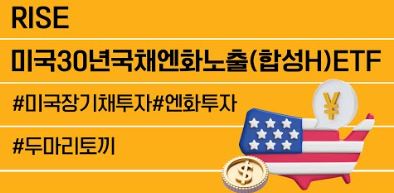 RISE 미국30년국채엔화노출(합성 H)